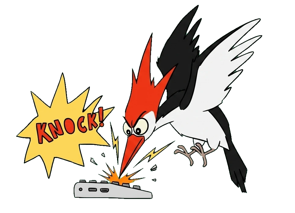 KnockBird — дятел заполняет анкеты